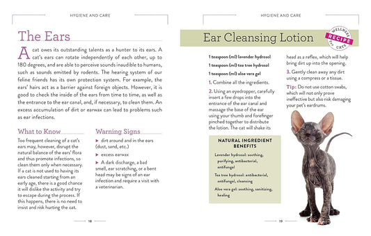 Wellness for Cats: A Guide for Health, Hygiene, and Happiness