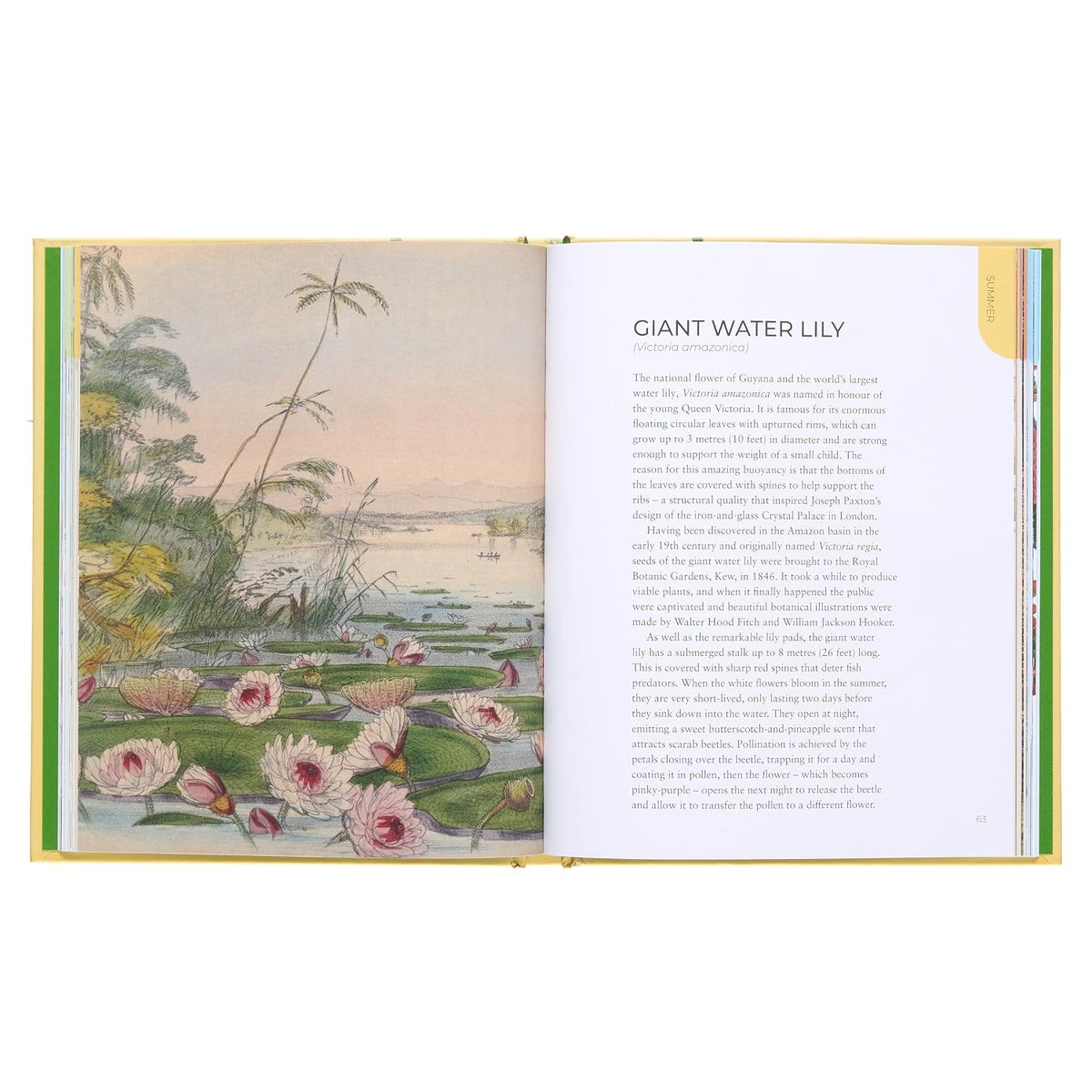 The Royal Botanic Gardens, Kew Nature Journal
