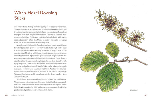 Knowing the Trees: Discover the Forest from Seed to Snag: Discover the Forest from Seed to Snag
