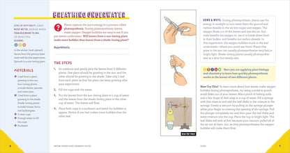 Awesome Outdoor Science Experiments for Kids: 50+ STEAM Projects and Why They Work