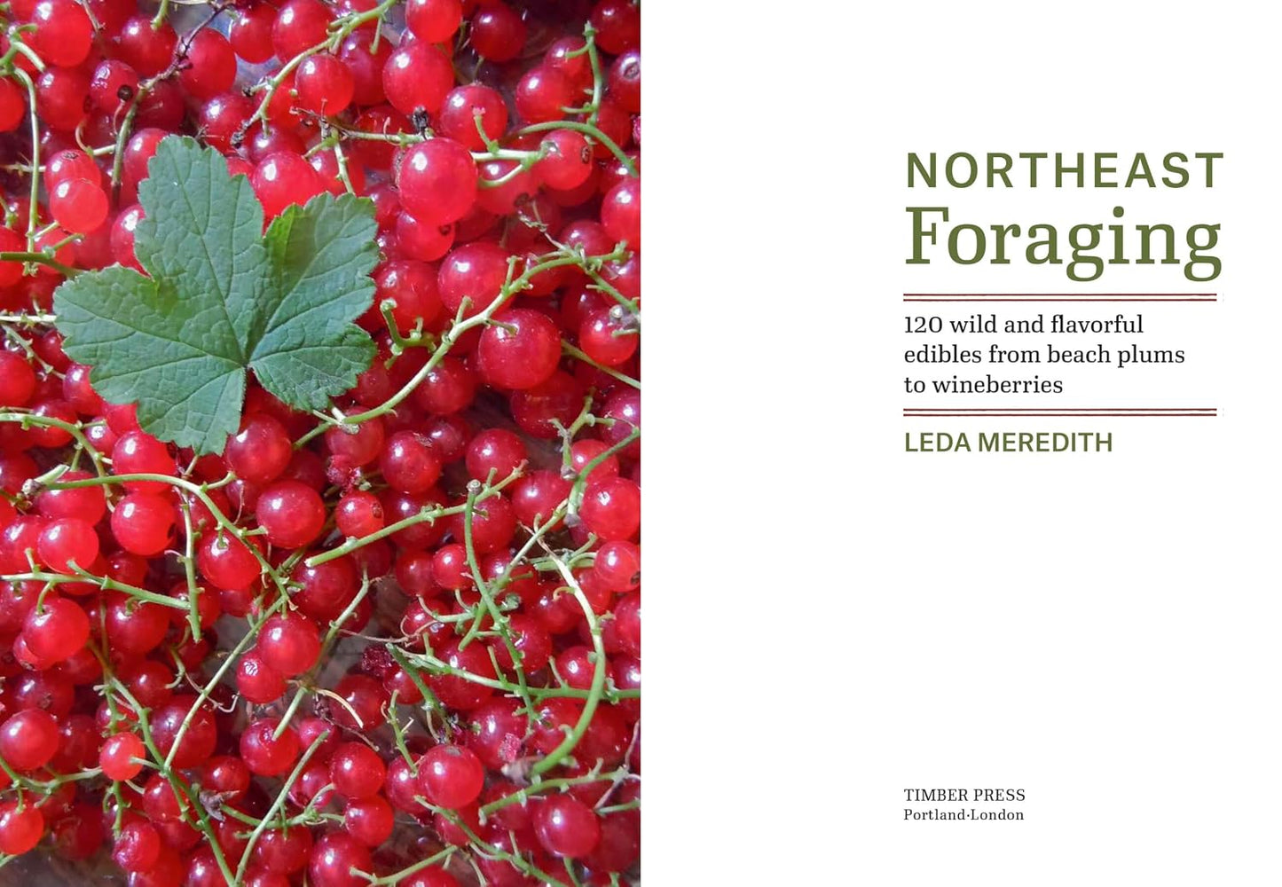 Northeast Foraging: 120 Wild and Flavorful Edibles from Beach Plums to Wineberries