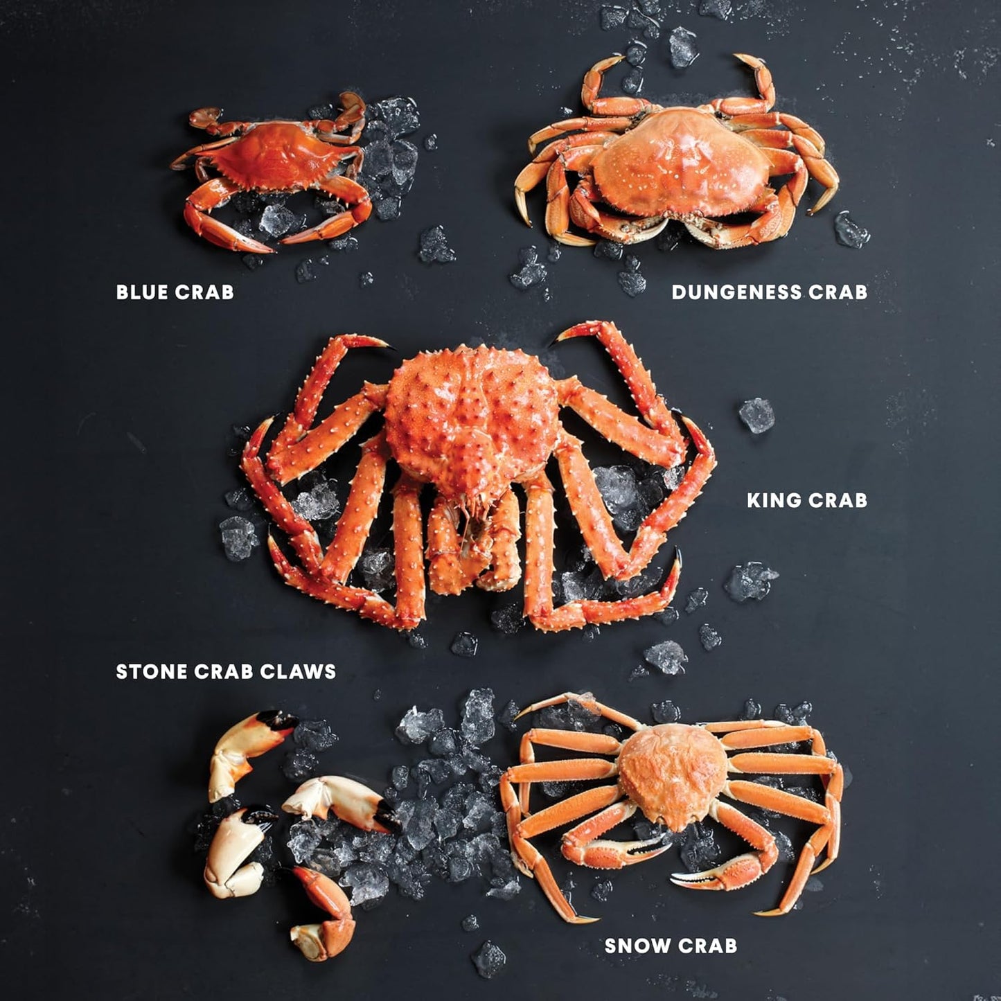 Crab: Recipes with the Fresh Taste of the Sea: Recipes with the Fresh Taste of the Sea