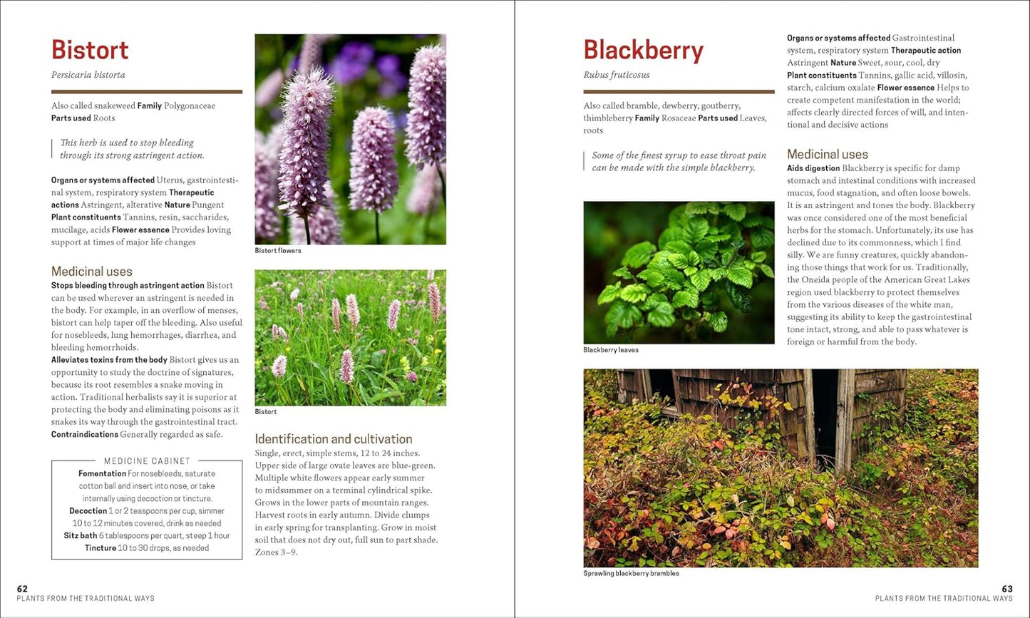 The Herbal Apothecary: 100 Medicinal Herbs and How to Use Them: 100 Medicinal Herbs and How to Use Them