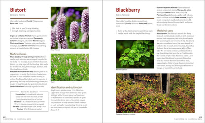 The Herbal Apothecary: 100 Medicinal Herbs and How to Use Them: 100 Medicinal Herbs and How to Use Them