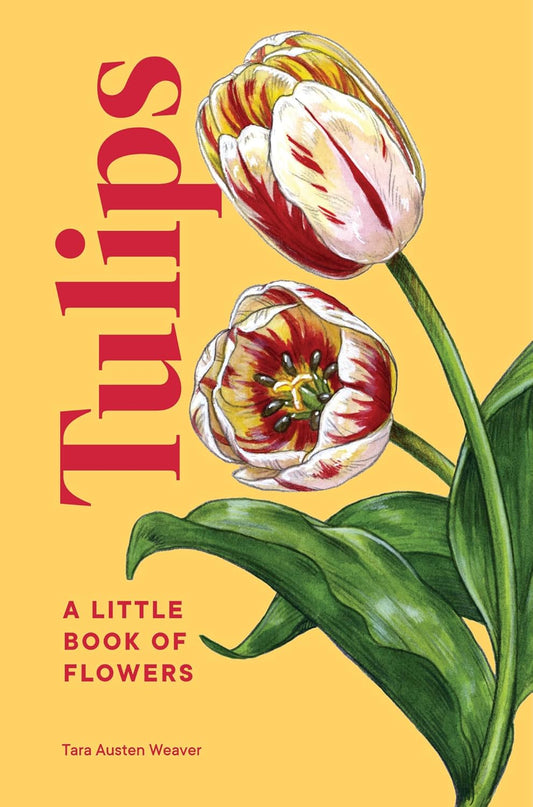 Tulips: A Little Book of Flowers: A Little Book of Flowers