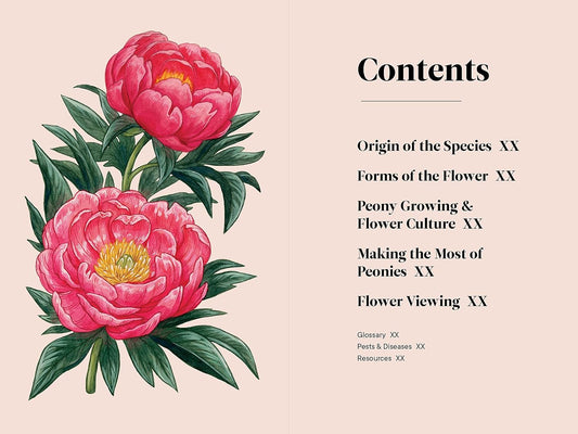 Peonies: A Little Book of Flowers: A Little Book of Flowers