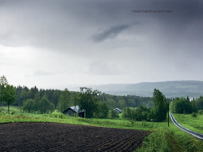The Nordic Cookbook by Magnus Nilsson