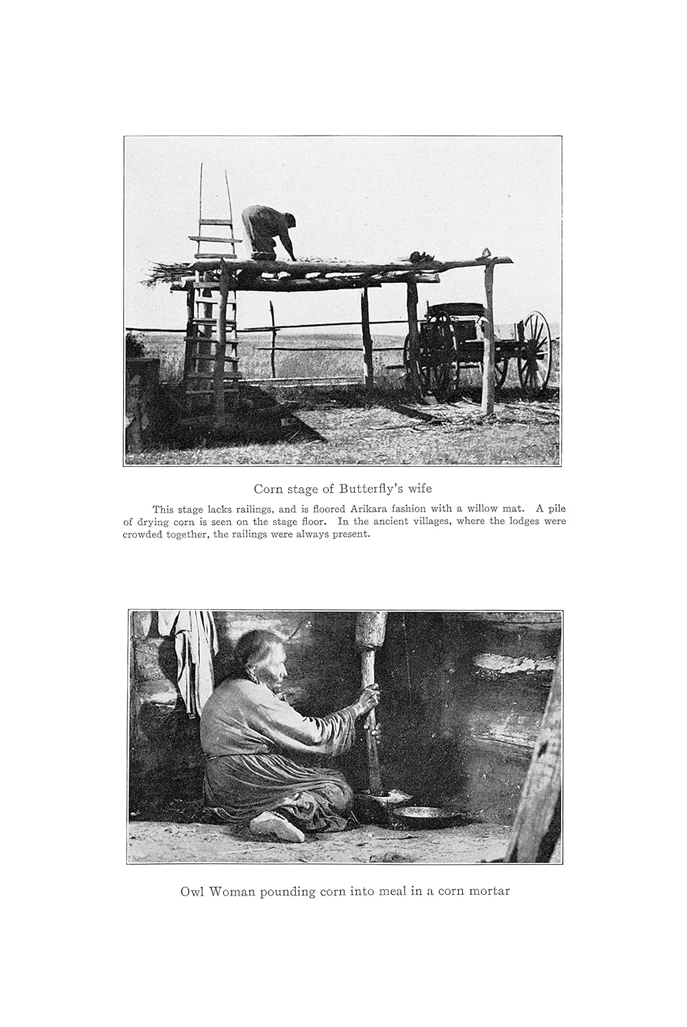 Native American Gardening: Buffalobird-Woman's Guide to Traditional Methods: Buffalobird-Woman's Guide to Traditional Methods