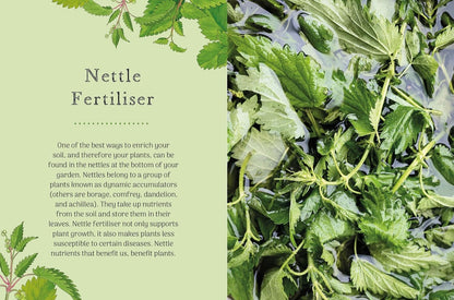 Nettle: Simple Things to Do with the Plants Around You (The Little Wild Library)