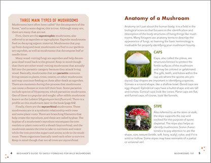 Beginner's Guide to Safely Foraging for Wild Mushrooms: Identifying and Collecting Mushrooms Sustainably with Confidence: Identifying and Collecting Mushrooms Sustainably with Confidence