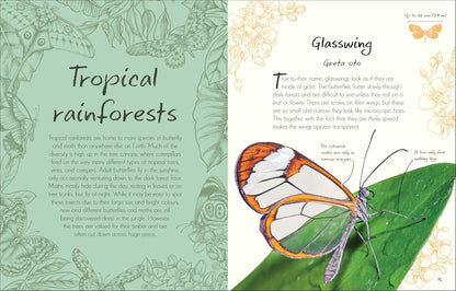 An Anthology of Butterflies and Moths: A Collection of Butterflies and Moths from Around the World
