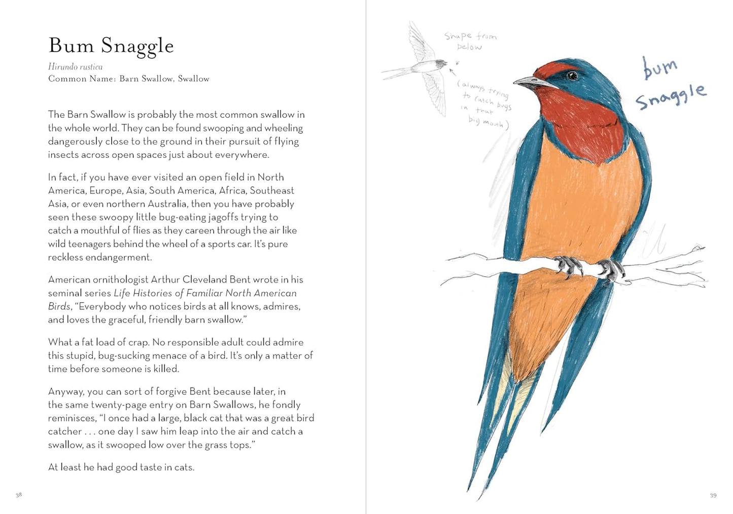 A Dumb Birds Field Guide to the Worst Birds Ever by Matt Kracht