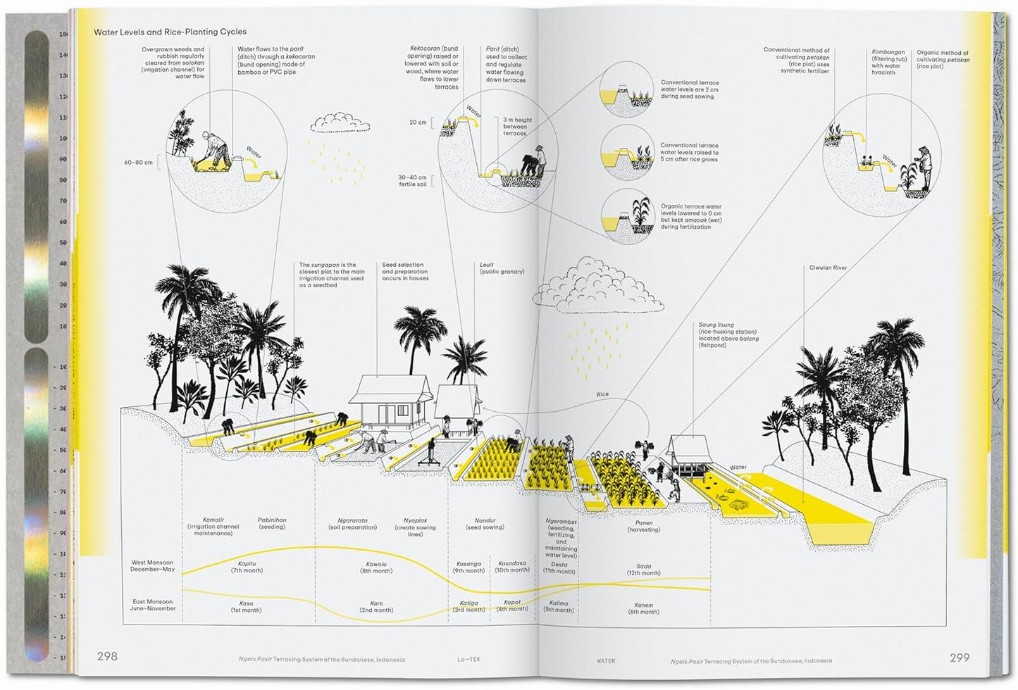 Lo--Tek Water: A Field Guide for TEKnology by Julia Watson