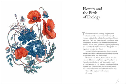 The Universe in Verse: 15 Portals to Wonder Through Science & Poetry