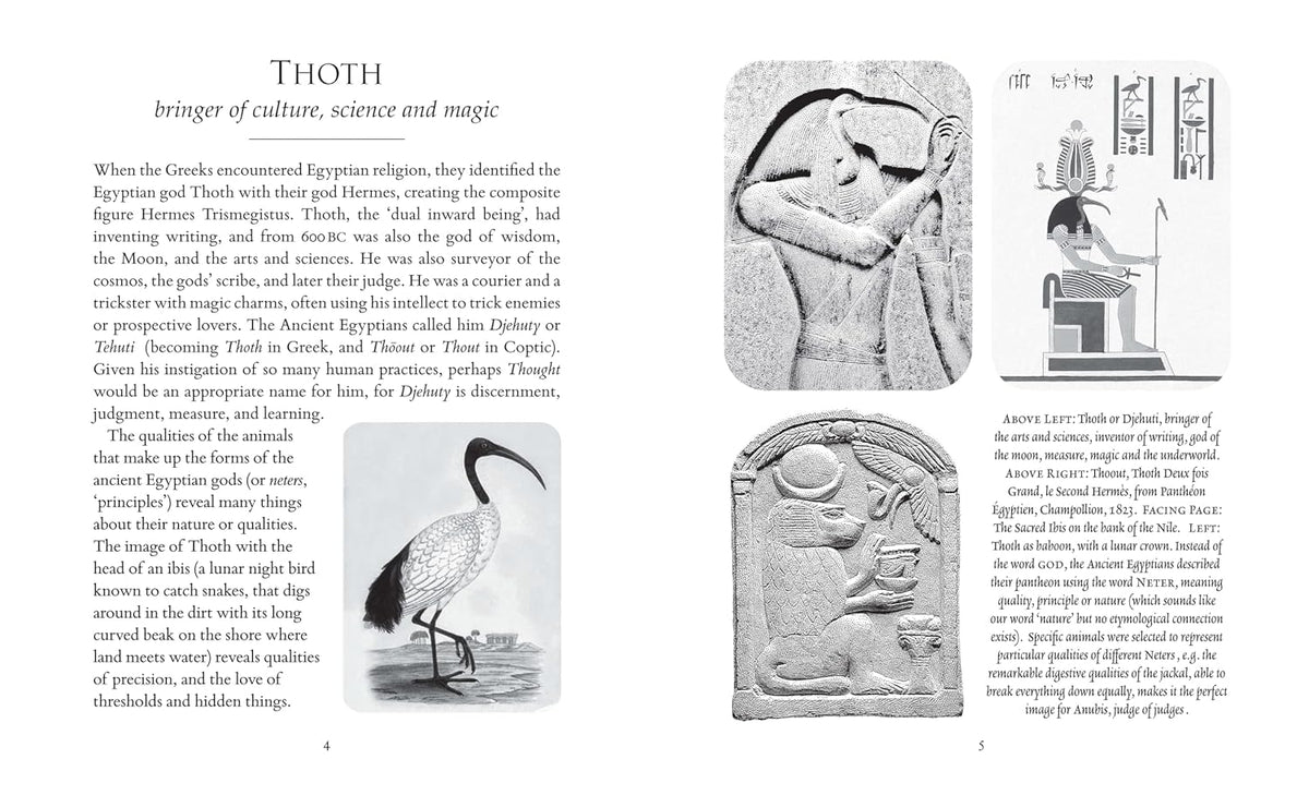 Hermeticism: The Secret Tradition