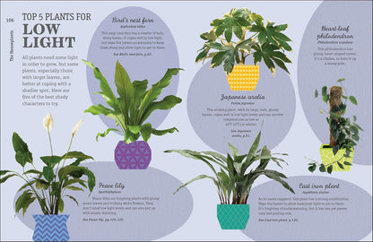How Not to Kill Your Houseplant New Edition: Survival Tips for the Horticulturally Challenged: Survival Tips for the Horticulturally Challenged