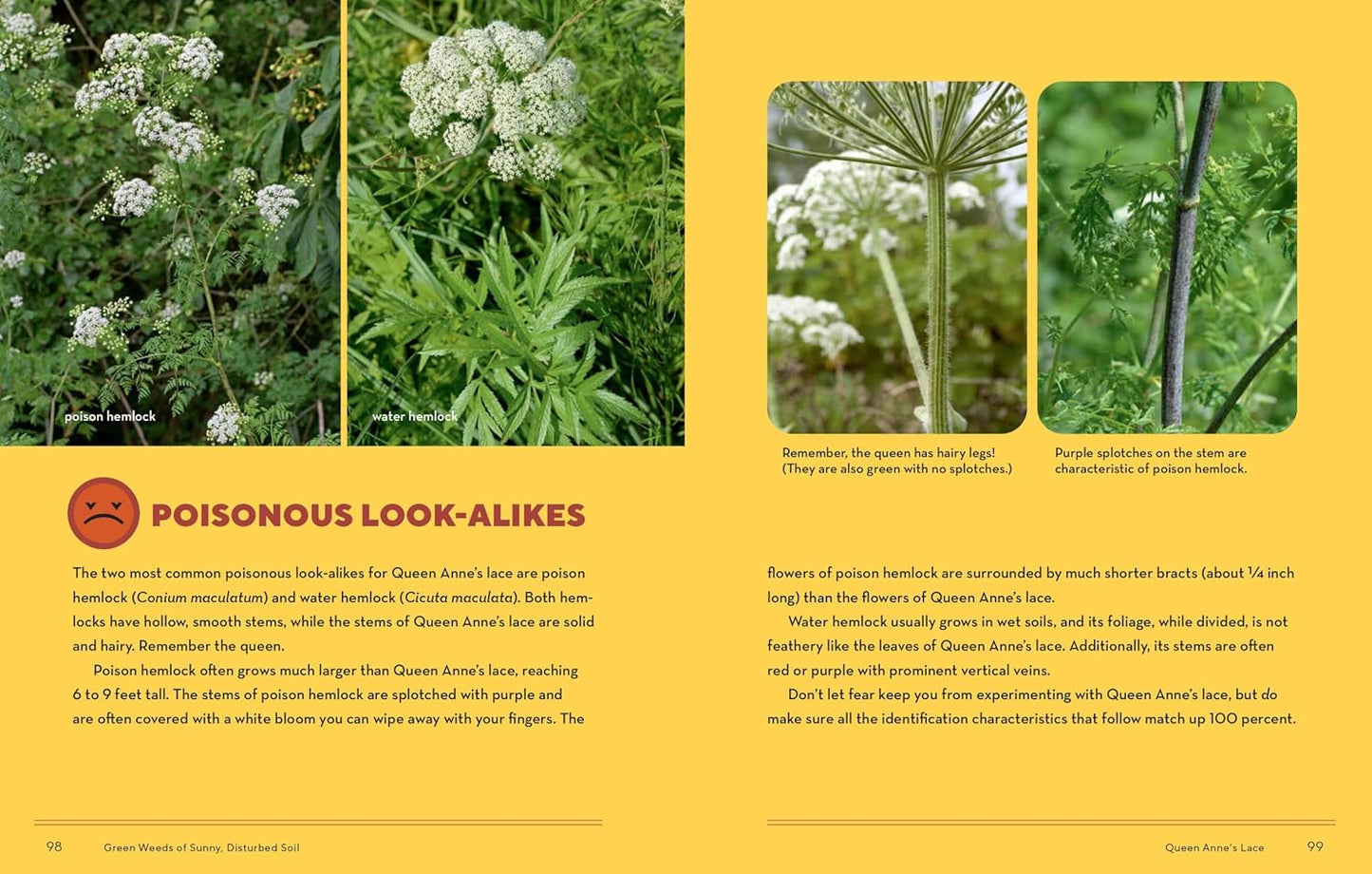 How to Forage for Wild Foods Without Dying: An Absolute Beginner's Guide to Identifying 40 Edible Wild Plants by Ellen Zachos