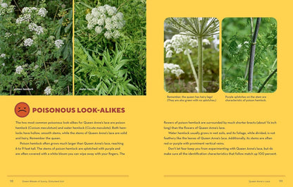 How to Forage for Wild Foods Without Dying: An Absolute Beginner's Guide to Identifying 40 Edible Wild Plants by Ellen Zachos