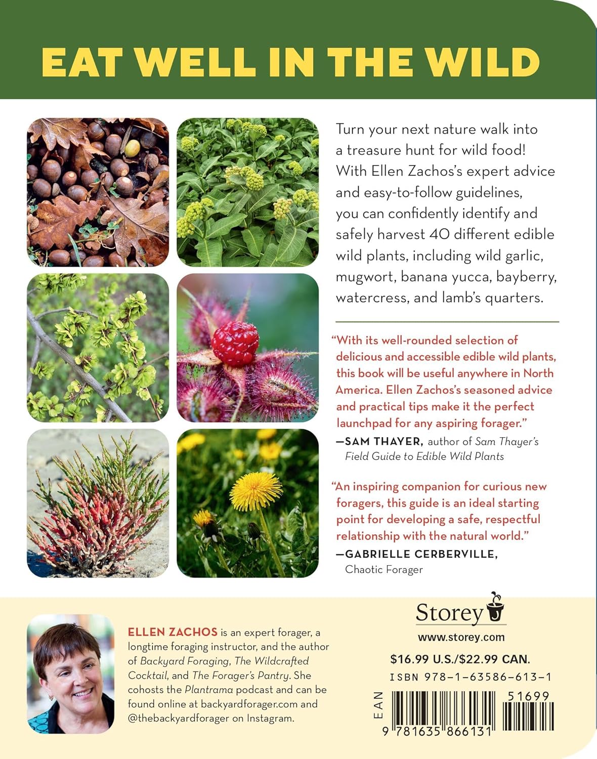 How to Forage for Wild Foods Without Dying: An Absolute Beginner's Guide to Identifying 40 Edible Wild Plants by Ellen Zachos