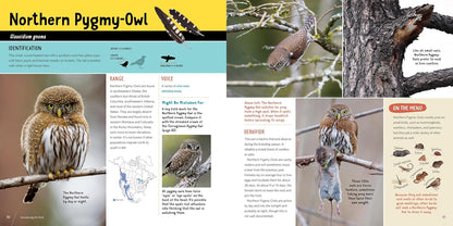 Owling: Enter the World of the Mysterious Birds of the Night by Mark Wilson