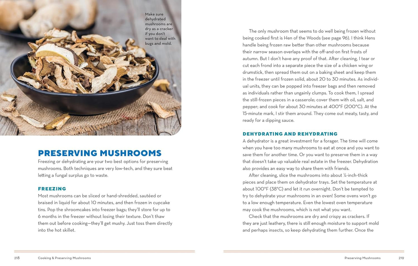 How to Forage for Mushrooms Without Dying: An Absolute Beginner's Guide to Identifying 29 Wild, Edible Mushrooms