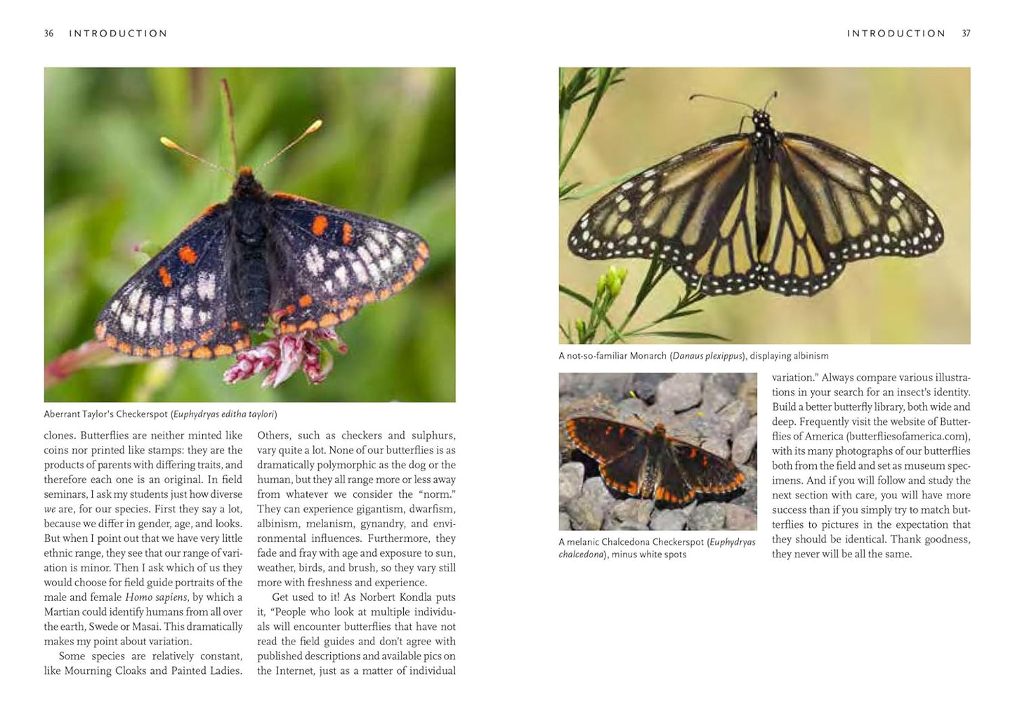 Butterflies of the Pacific Northwest by Robert Michael Pyle & Caitlin C Labar