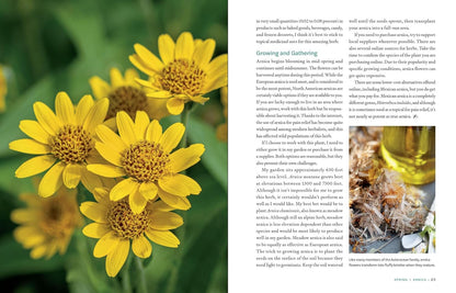 Herbs in Every Season: 48 Edible and Medicinal Herbs for the Kitchen, Garden, and Apothecary