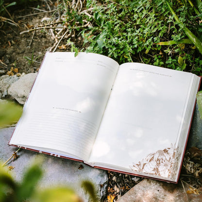 Gather: A Foraging Journal by Maggie Enterrios