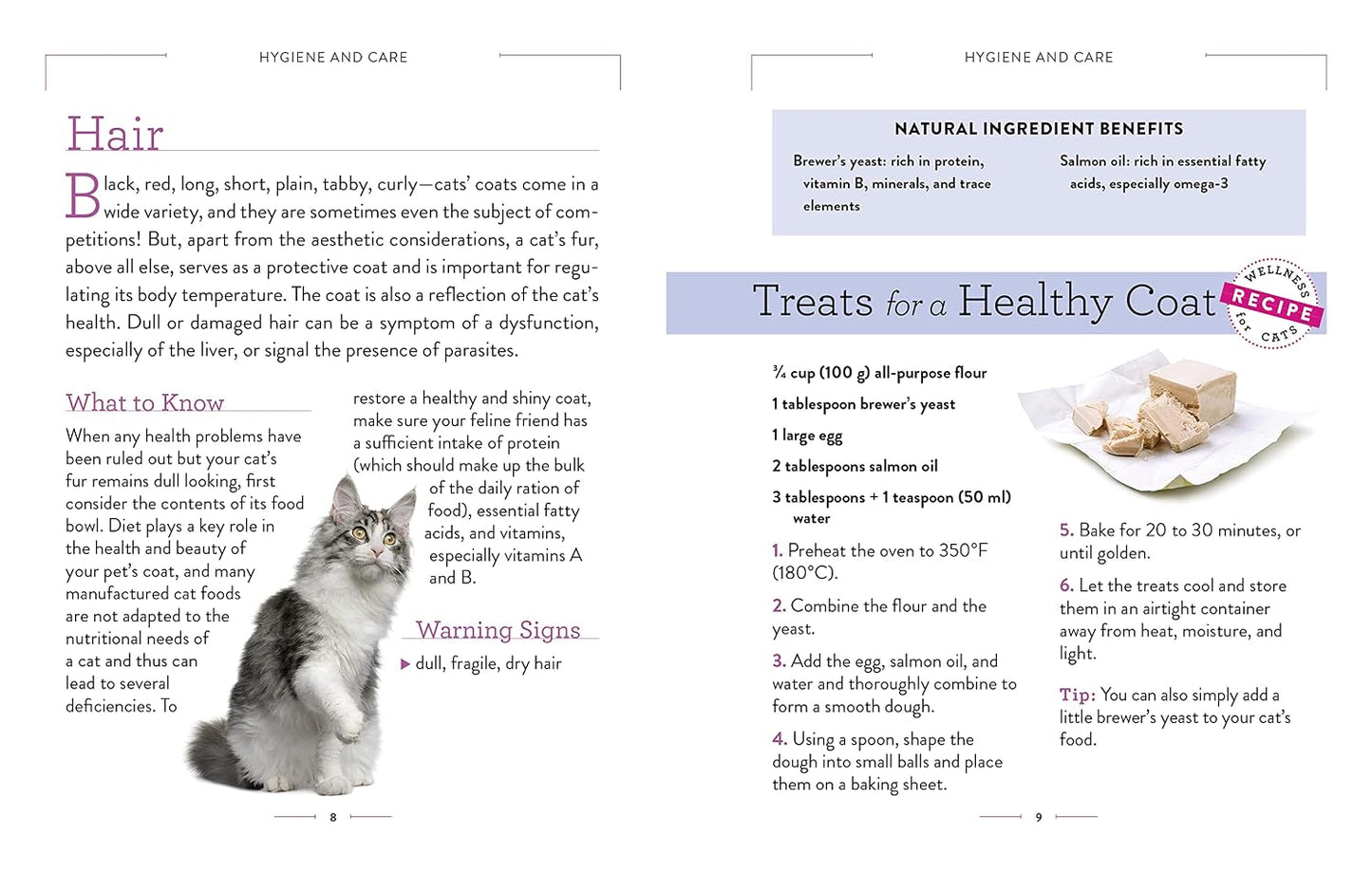 Wellness for Cats: A Guide for Health, Hygiene, and Happiness
