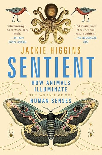 Sentient: How Animals Illuminate the Wonder of Our Human Senses by Jackie Higgins