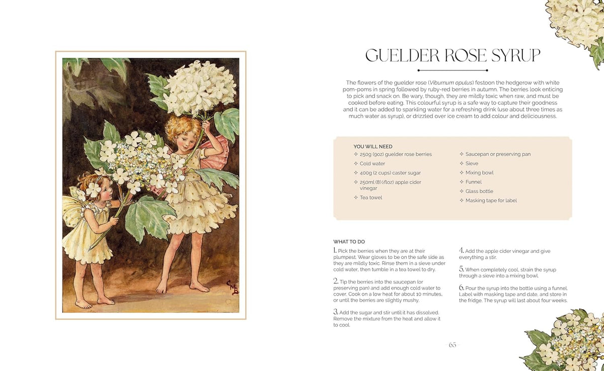The Flower Fairies Herbal: Recipes and Remedies from the Hedgerow, Field and Forest