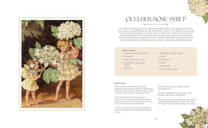 The Flower Fairies Herbal: Recipes and Remedies from the Hedgerow, Field and Forest