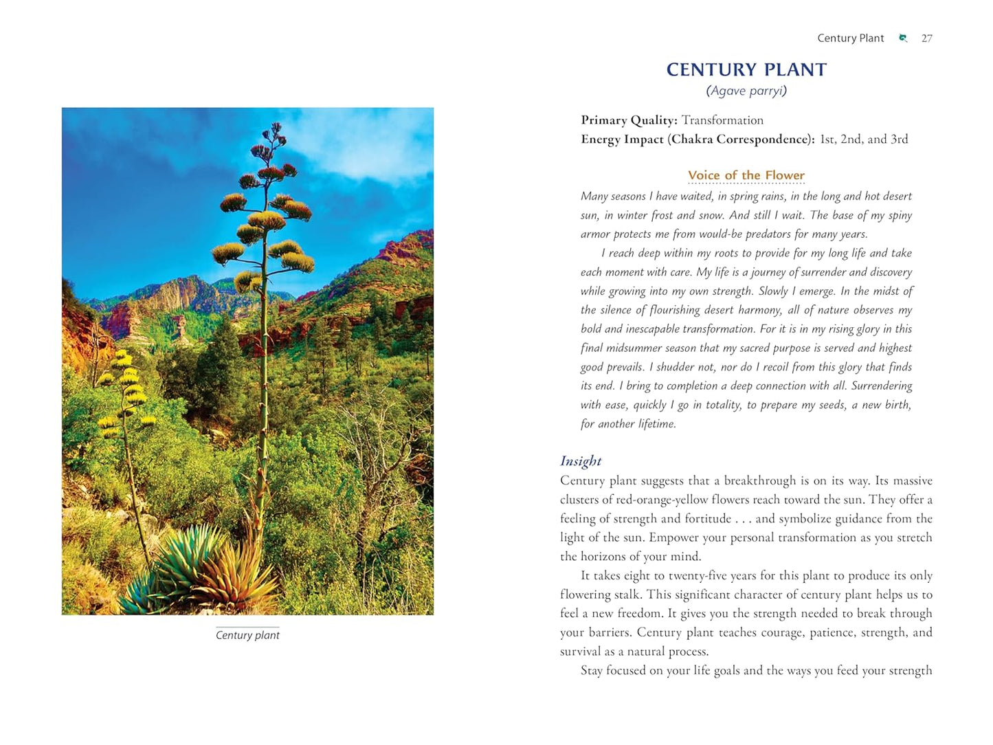 Plant Energy Medicine: The Guiding Voice and Healing Vibration of 58 Plants: The Guiding Voice and Healing Vibration of 58 Plants
