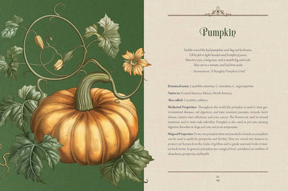 Enchanted Plants: A Treasury of Botanical Folklore and Magic by Varla A Ventura
