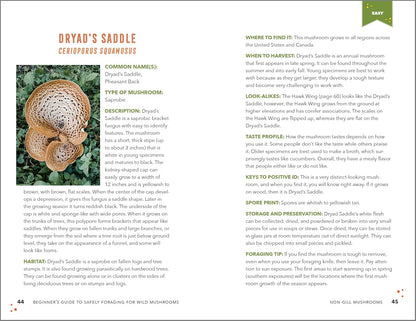 Beginner's Guide to Safely Foraging for Wild Mushrooms: Identifying and Collecting Mushrooms Sustainably with Confidence: Identifying and Collecting Mushrooms Sustainably with Confidence