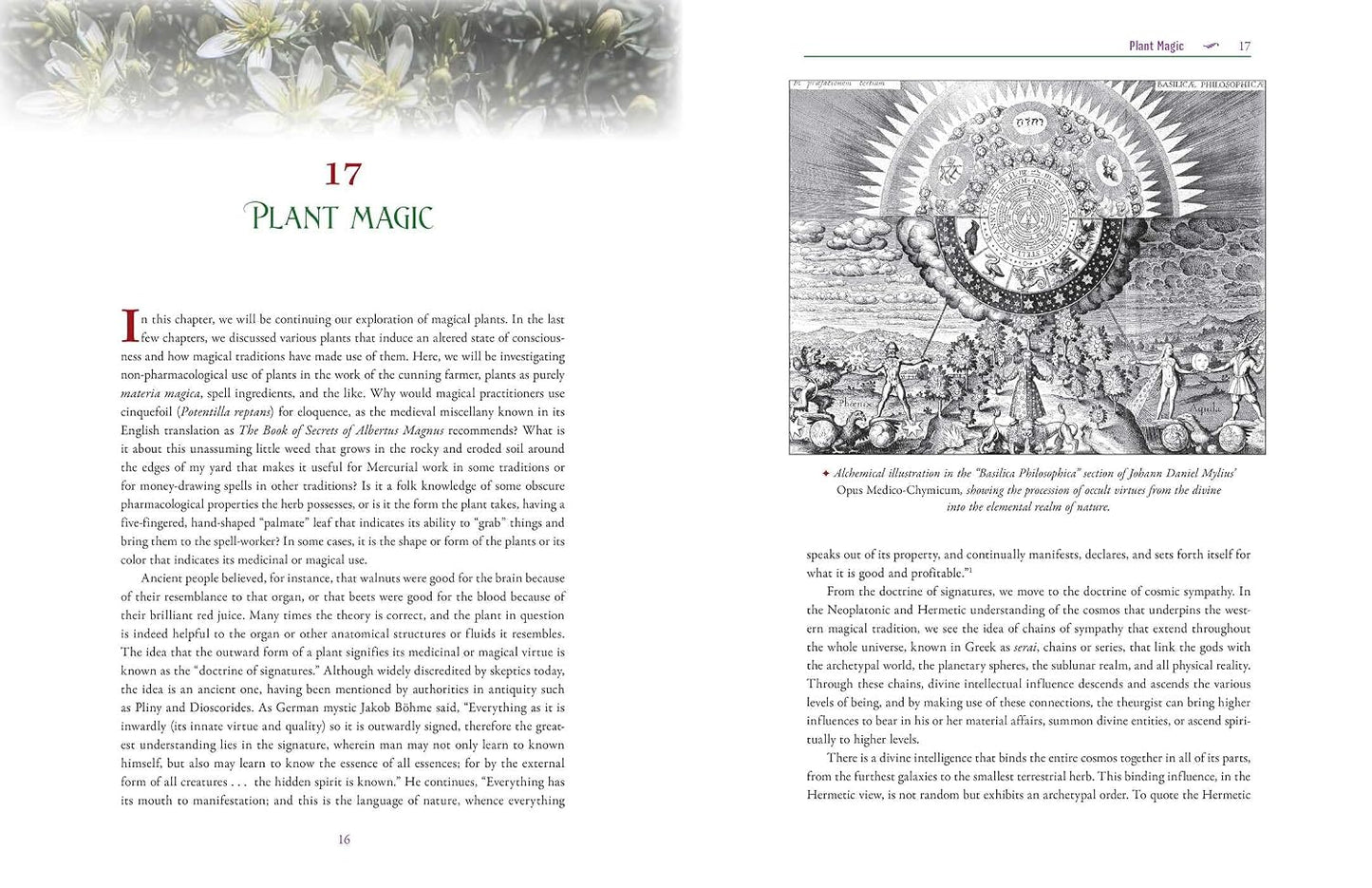 The Cunning Farmer: Agrarian Magical Practices, Mythology, and Folklore