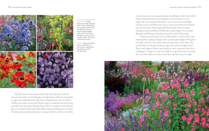 Grounded in the Garden: An Artist's Guide to Creating a Beautiful Garden in Harmony with Nature by Tj Maher
