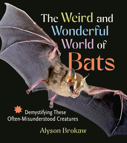 The Weird and Wonderful World of Bats: Demystifying These Often-Misunderstood Creatures by Alyson Brokaw