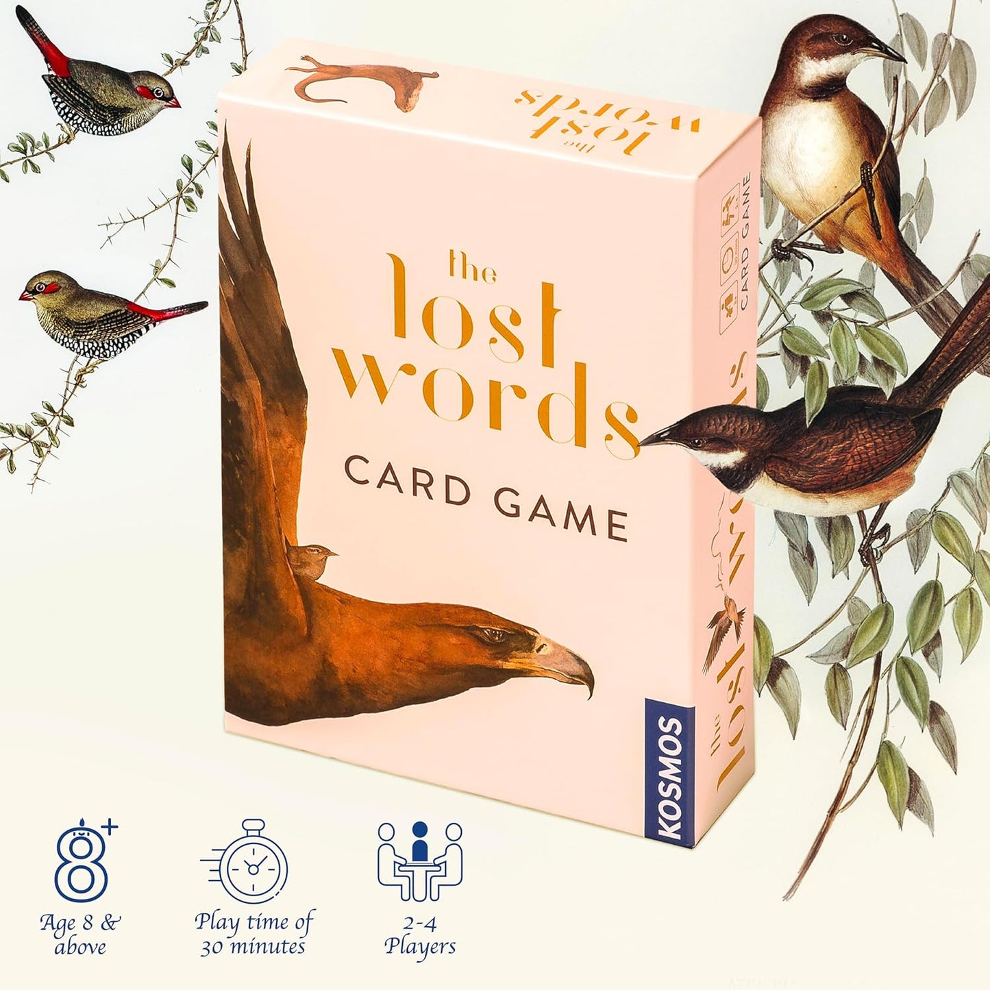 The Lost Words Card Game by Robert Hyde, Illustrated by Jackie Morris