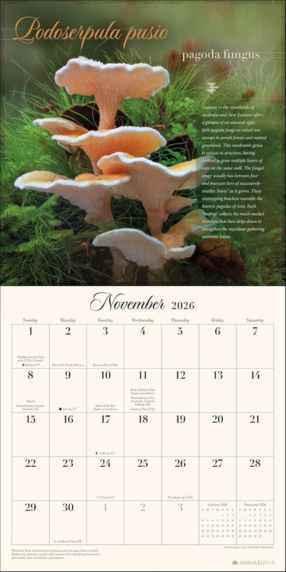 The Miraculous Mushroom 2026 Wall Calendar: With Fabulous Fungi Facts by Amber Lotus Publishing, Steve Axford (Photographer)