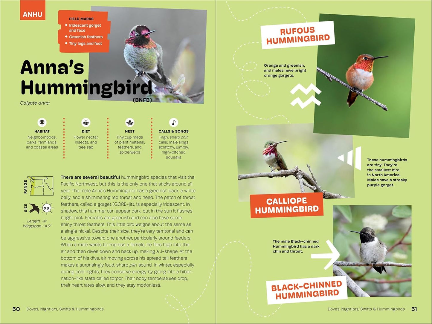 Birds of the Pacific Northwest for Kids