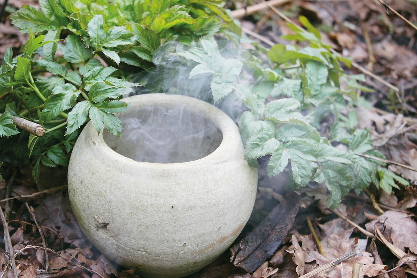Essence and Ember: Gathering and Preparing Herbal, Resin, and Wood Incense: Gathering and Preparing Herbal, Resin, and Wood Incense