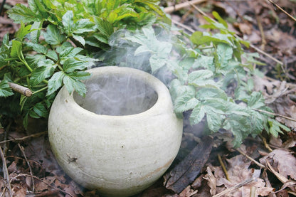 Essence and Ember: Gathering and Preparing Herbal, Resin, and Wood Incense: Gathering and Preparing Herbal, Resin, and Wood Incense