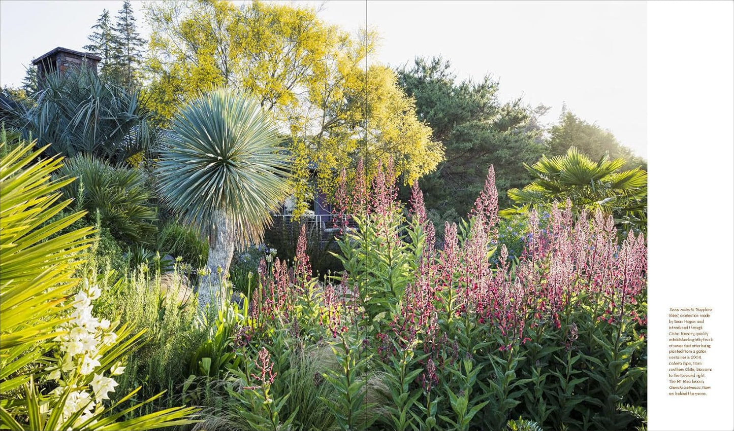 Windcliff: A Story of People, Plants, and Gardens by Daniel J Hinkley