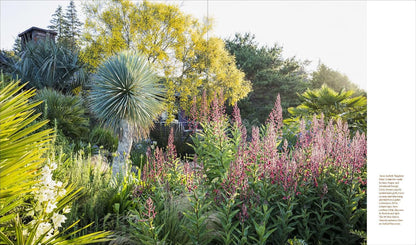 Windcliff: A Story of People, Plants, and Gardens by Daniel J Hinkley