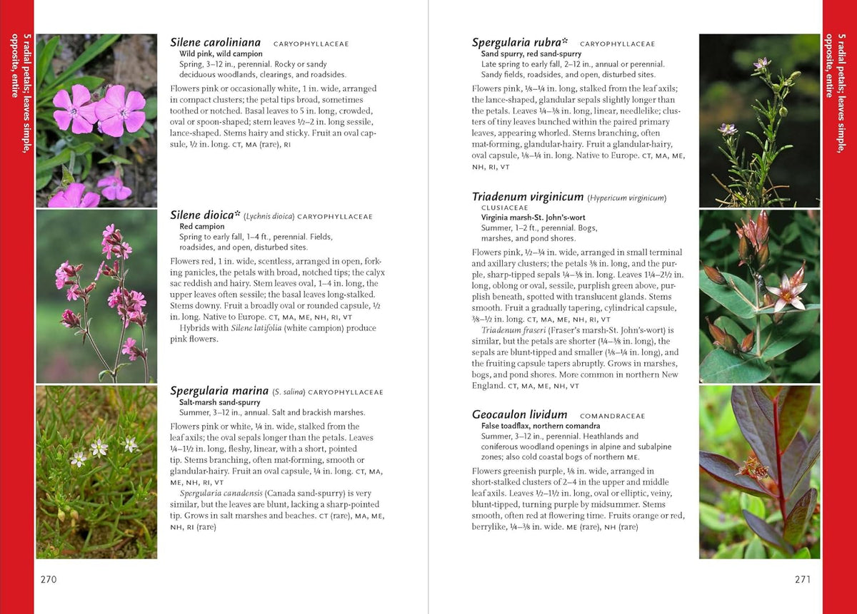 Wildflowers of the Pacific Northwest