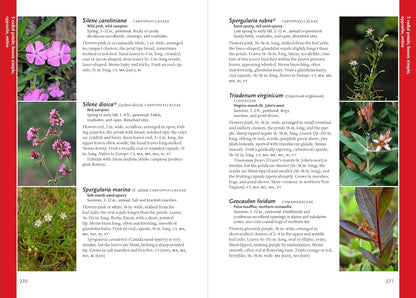 Wildflowers of the Pacific Northwest
