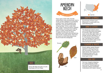 A Kid's Guide to Backyard Trees