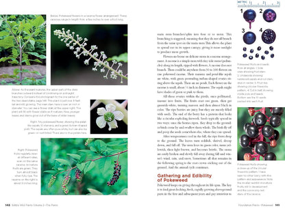 Edible Wild Plants, Volume 2: Wild Foods from Foraging to Feasting by John Kallas Phd