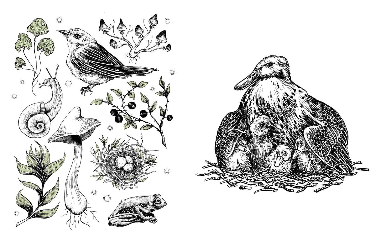 15-Minute Art: Pen and Ink-Learn to Draw with Pen and Ink in Six Steps or Less